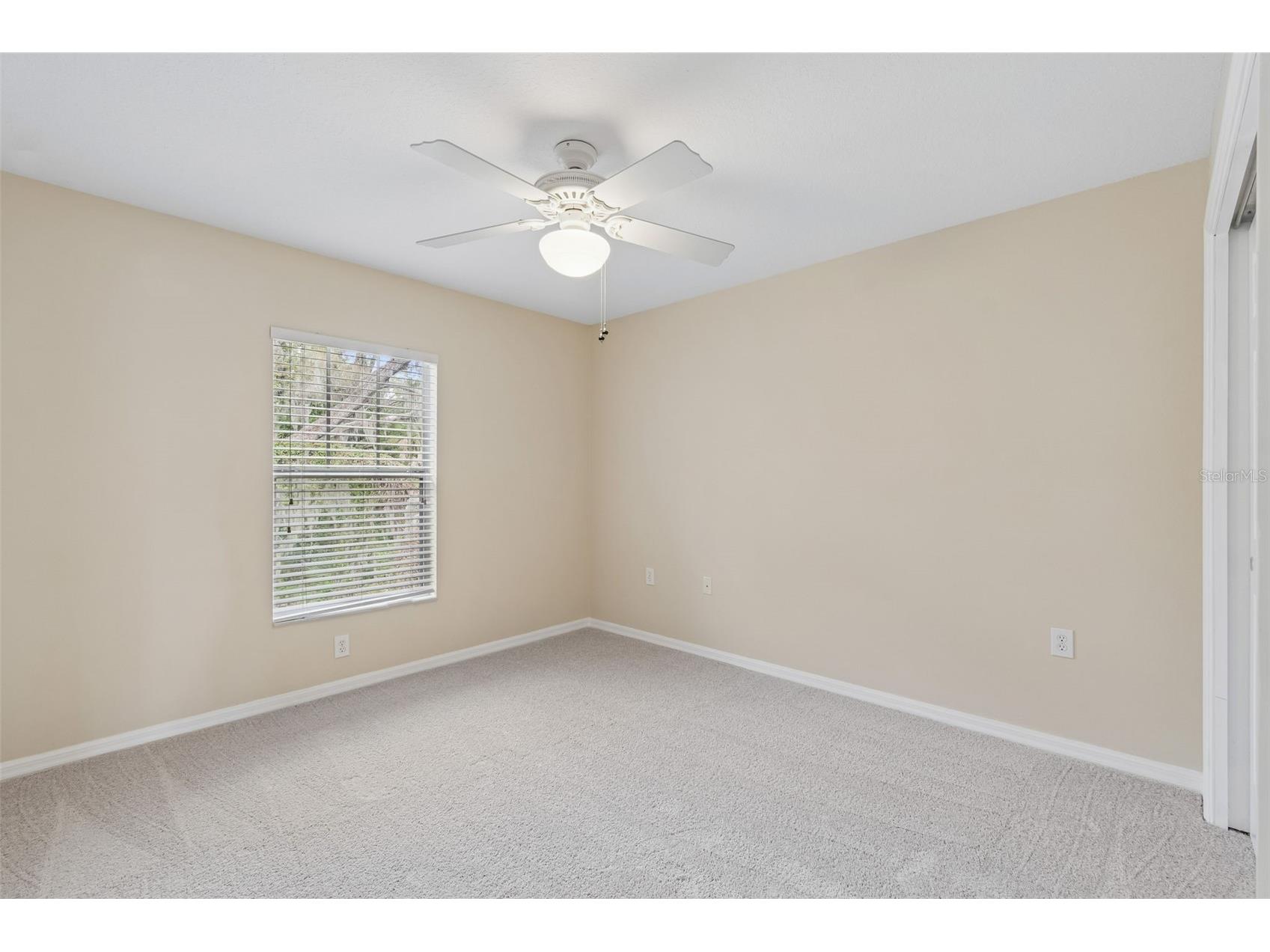 20112 Indian Rosewood Drive Tampa FL 33647 TB8486427 image51