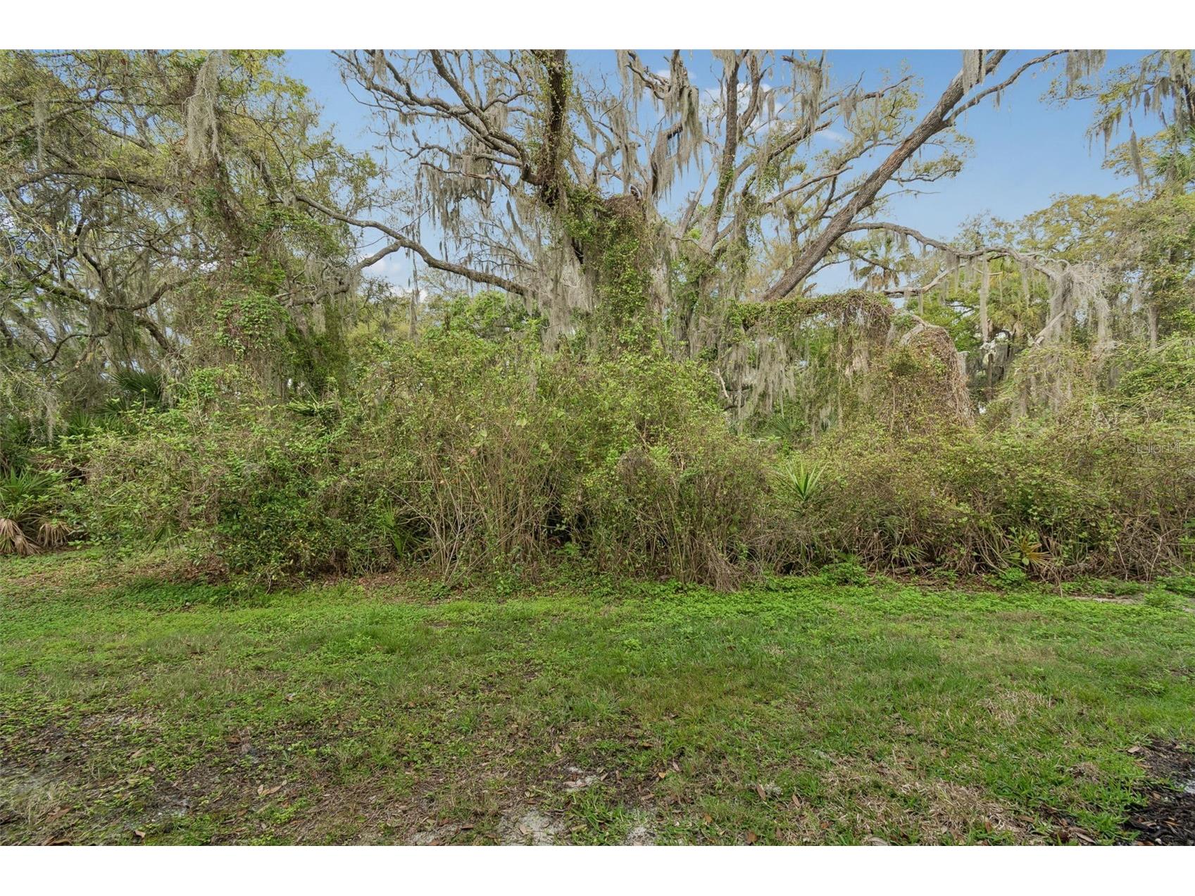 20112 Indian Rosewood Drive Tampa FL 33647 TB8486427 image62