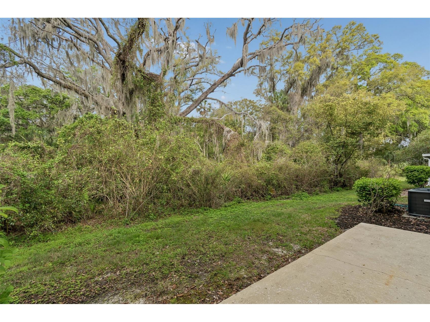 20112 Indian Rosewood Drive Tampa FL 33647 TB8486427 image63