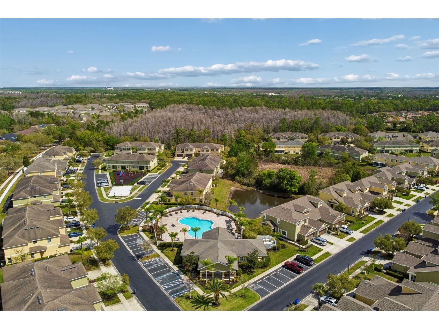 20112 Indian Rosewood Drive Tampa FL 33647 TB8486427 image85