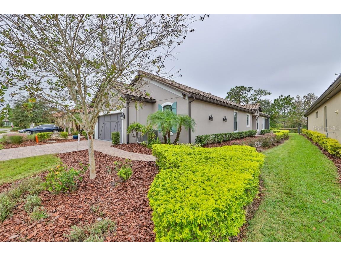 20112 Sorano Hill Place Tampa FL 33647 T3487271 image1