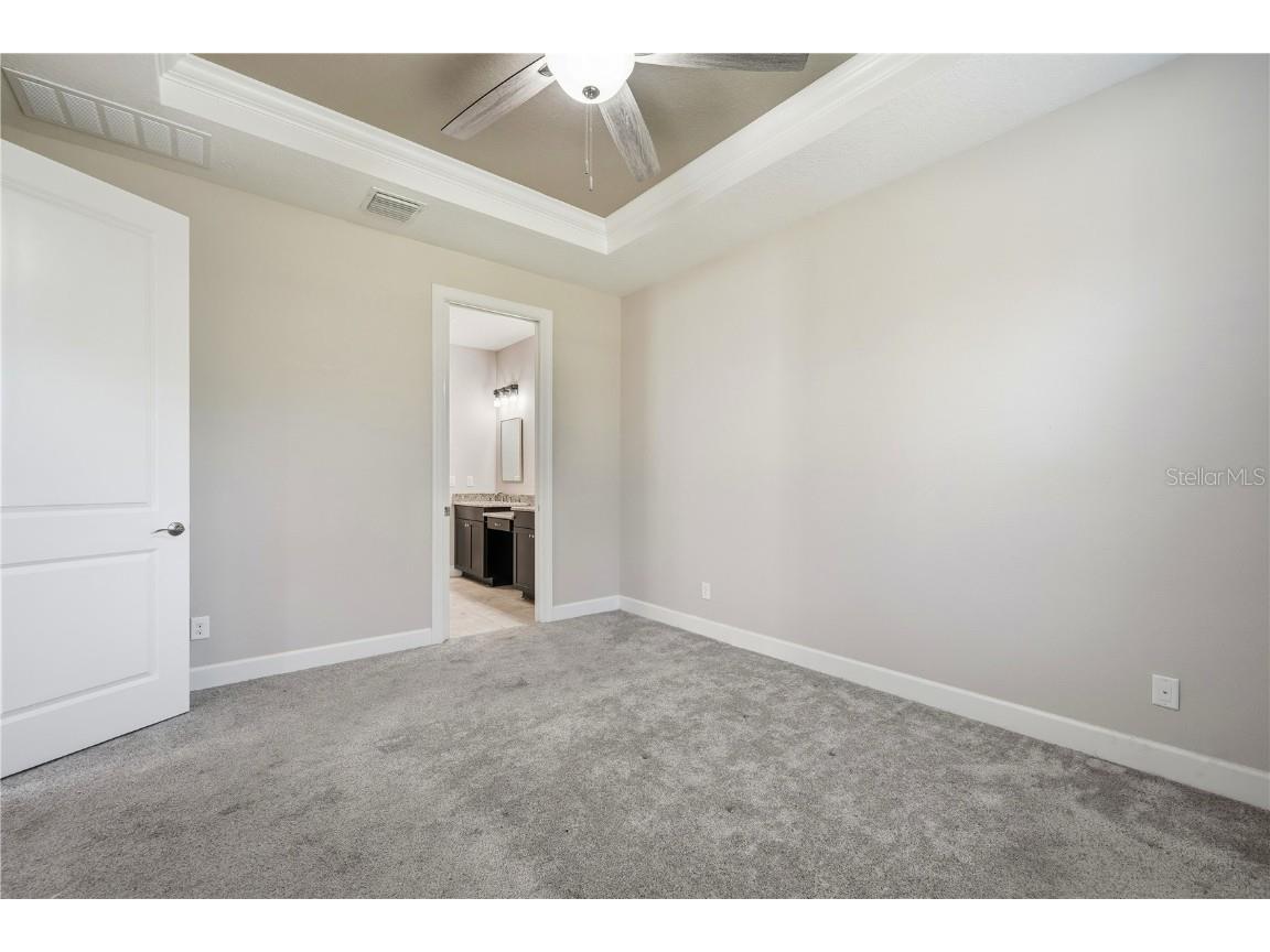 20112 Sorano Hill Place Tampa FL 33647 TB8451707 image23