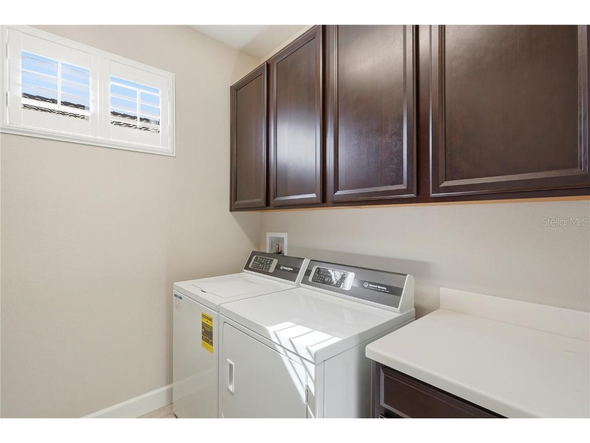 20112 Sorano Hill Place Tampa FL 33647 TB8451707 image29