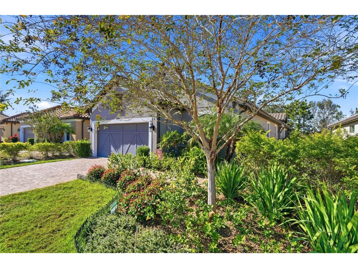 20112 Sorano Hill Place Tampa FL 33647 TB8451707 image3