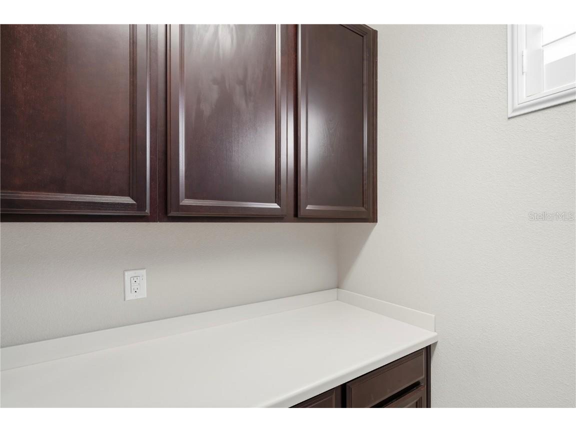 20112 Sorano Hill Place Tampa FL 33647 TB8451707 image30