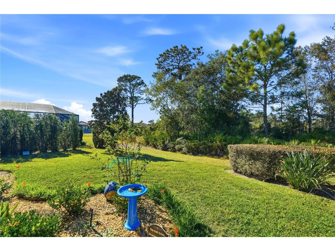 20112 Sorano Hill Place Tampa FL 33647 TB8451707 image38