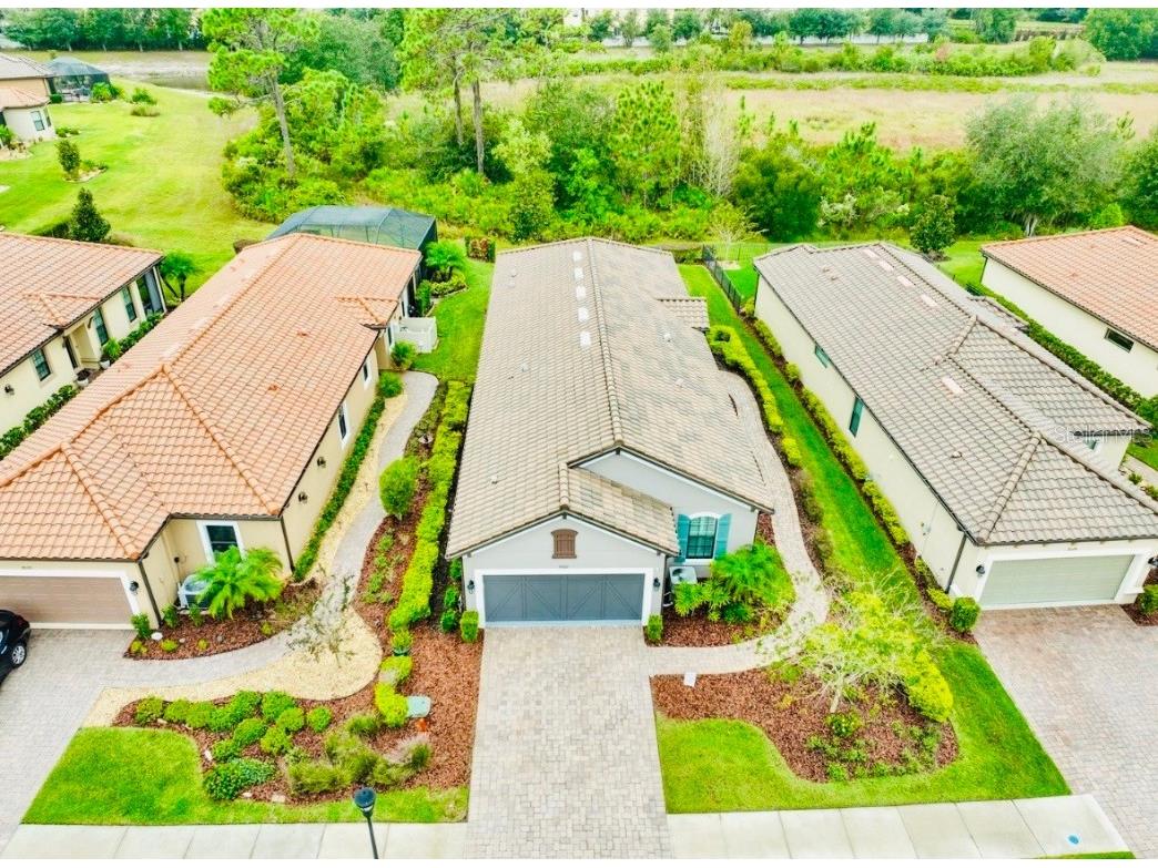 20112 Sorano Hill Place Tampa FL 33647 TB8451707 image42