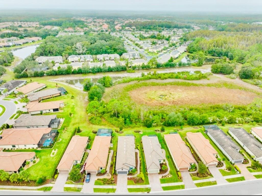 20112 Sorano Hill Place Tampa FL 33647 TB8451707 image43