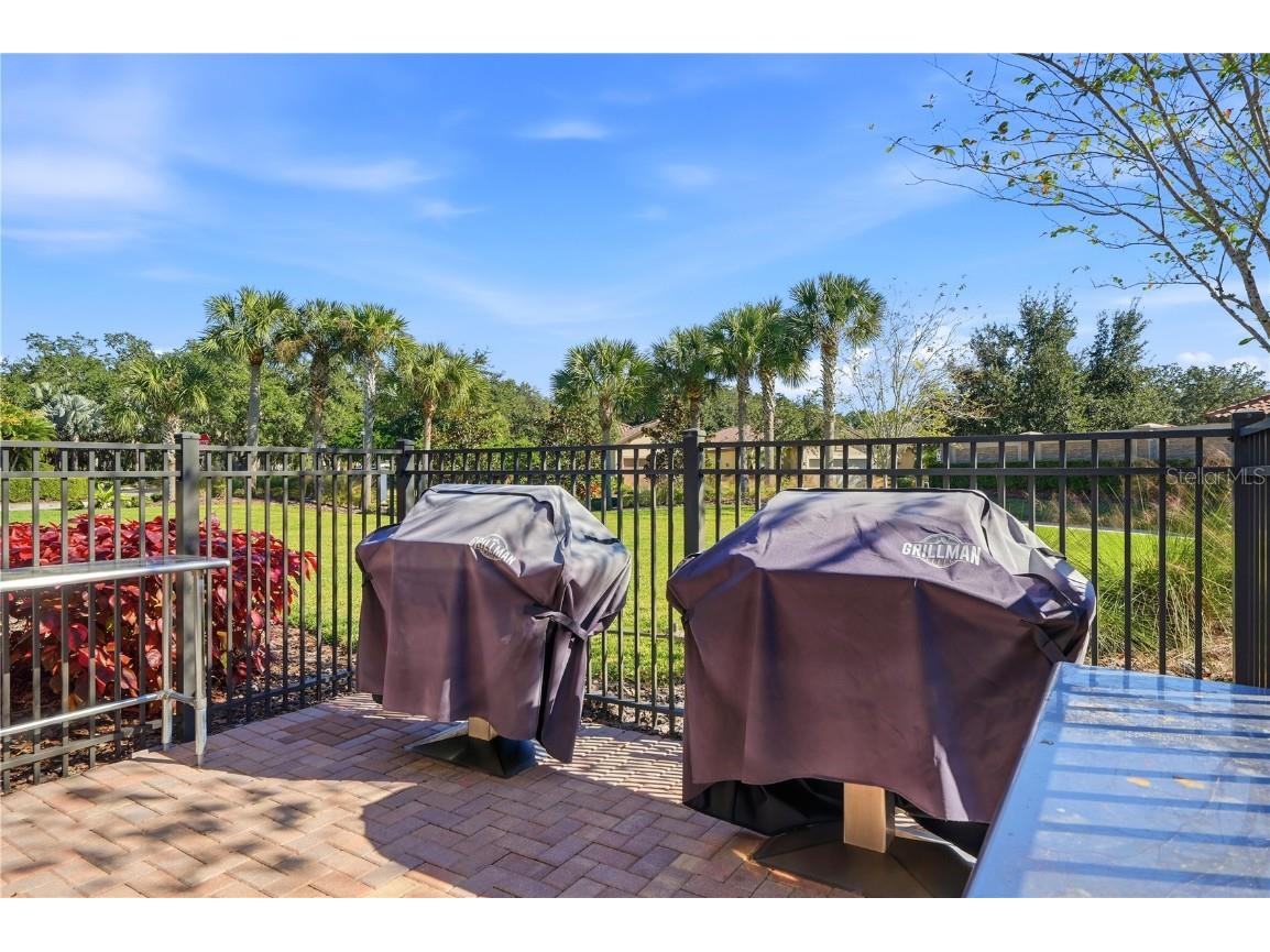 20112 Sorano Hill Place Tampa FL 33647 TB8451707 image58