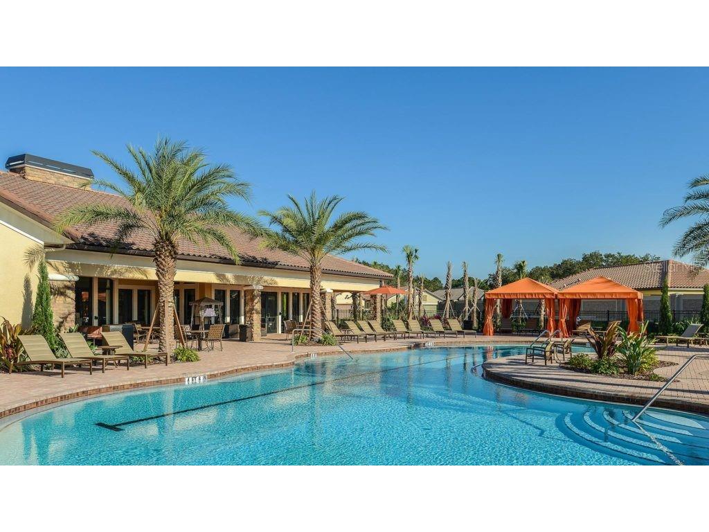 20112 Sorano Hill Place Tampa FL 33647 TB8451707 image61