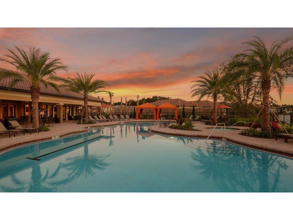 20112 Sorano Hill Place Tampa FL 33647 TB8451707 image62