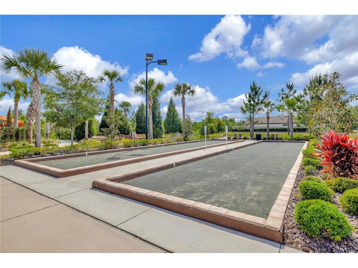 20112 Sorano Hill Place Tampa FL 33647 TB8451707 image66