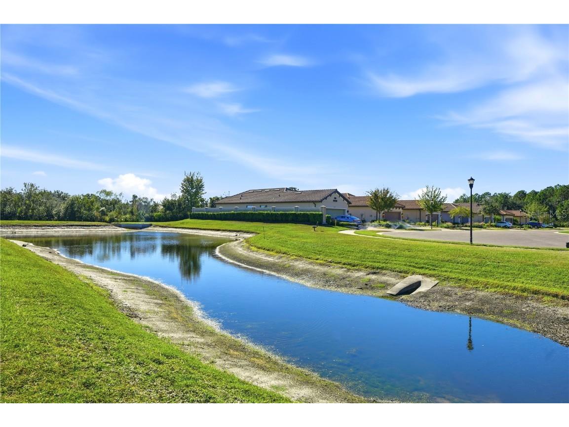 20112 Sorano Hill Place Tampa FL 33647 TB8451707 image68