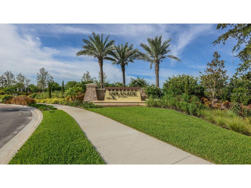 20112 Sorano Hill Place Tampa FL 33647 TB8451707 image69