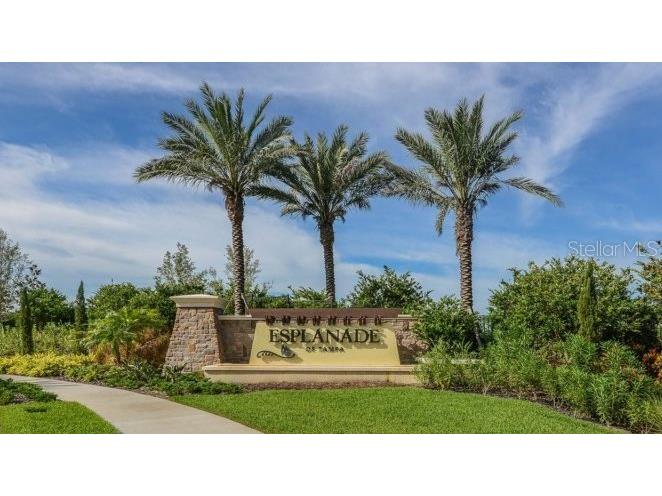 20112 Sorano Hill Place Tampa FL 33647 TB8451707 image70