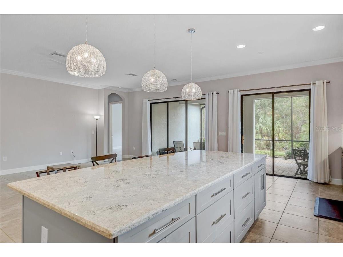 20113 Umbria Hill Drive Tampa FL 33647 TB8465942 image21