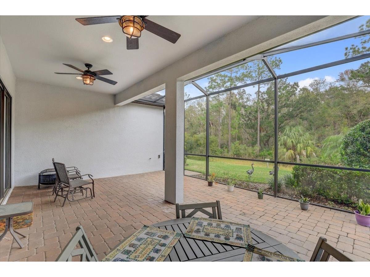 20113 Umbria Hill Drive Tampa FL 33647 TB8465942 image49
