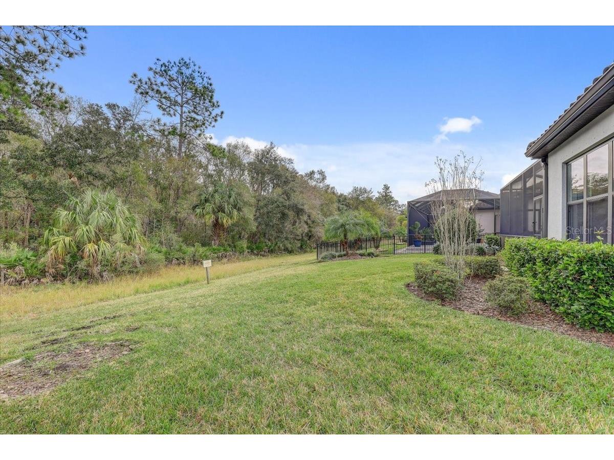 20113 Umbria Hill Drive Tampa FL 33647 TB8465942 image52