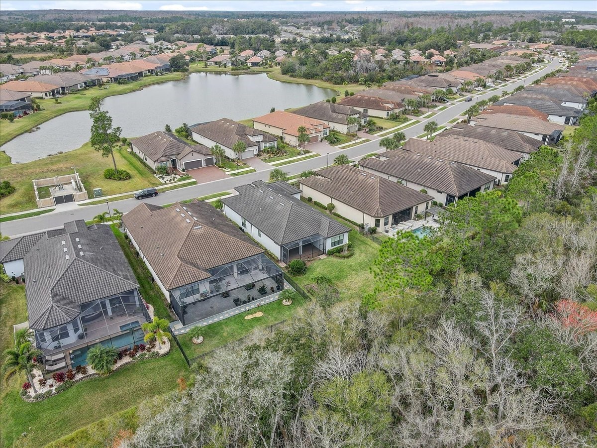 20113 Umbria Hill Drive Tampa FL 33647 TB8465942 image55