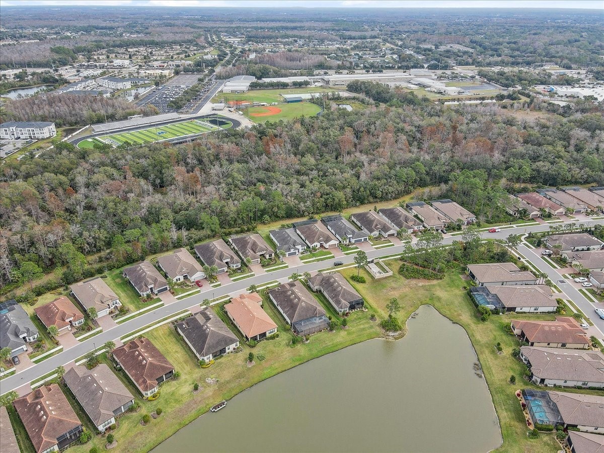 20113 Umbria Hill Drive Tampa FL 33647 TB8465942 image58