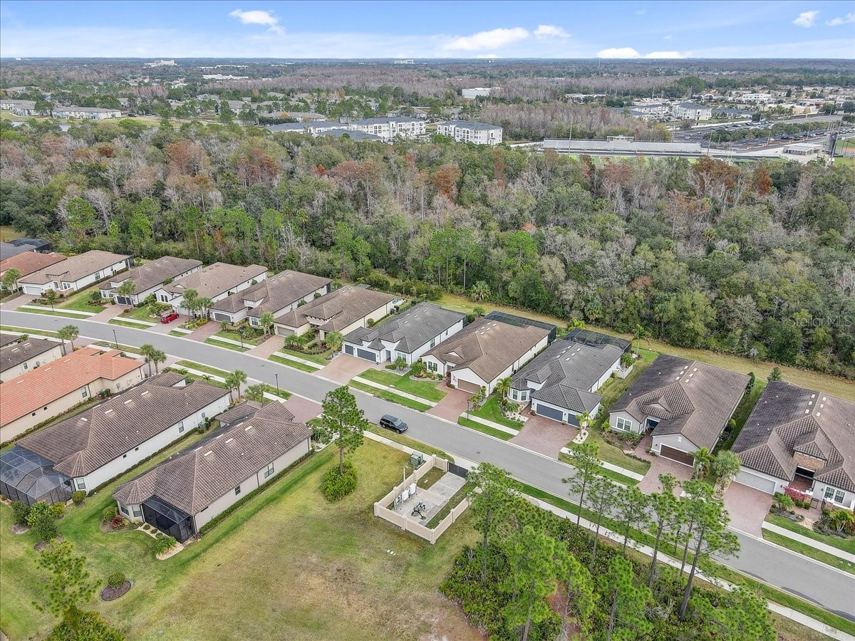 20113 Umbria Hill Drive Tampa FL 33647 TB8465942 image59