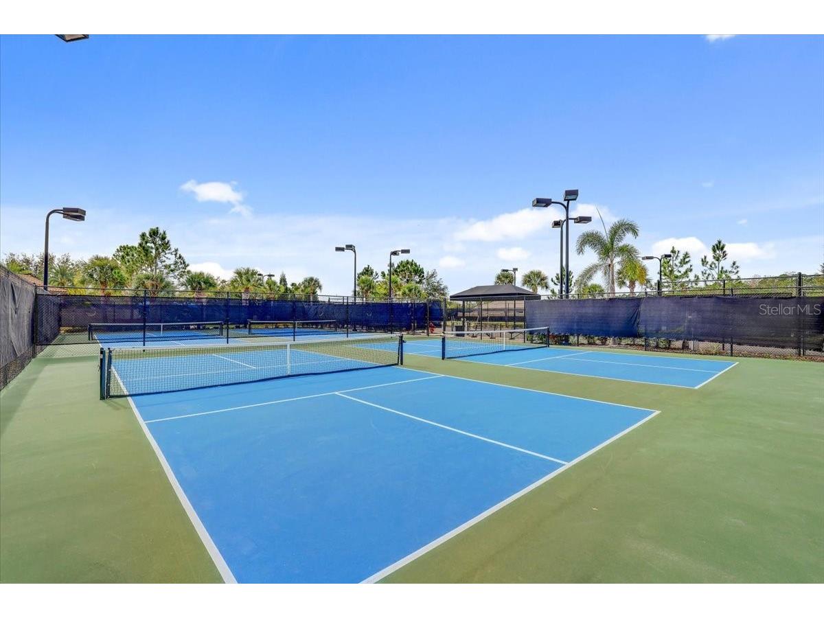 20113 Umbria Hill Drive Tampa FL 33647 TB8465942 image66