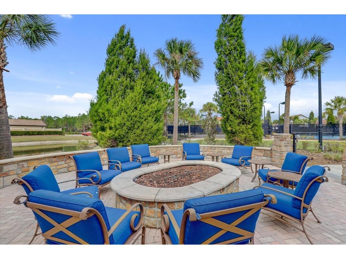 20113 Umbria Hill Drive Tampa FL 33647 TB8465942 image67