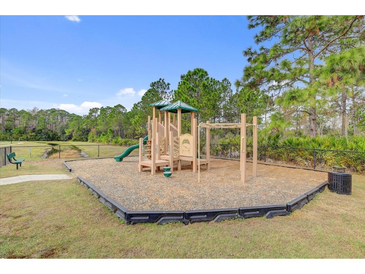 20113 Umbria Hill Drive Tampa FL 33647 TB8465942 image72