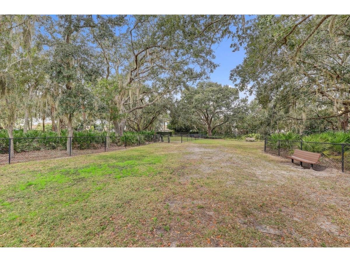 20113 Umbria Hill Drive Tampa FL 33647 TB8465942 image73