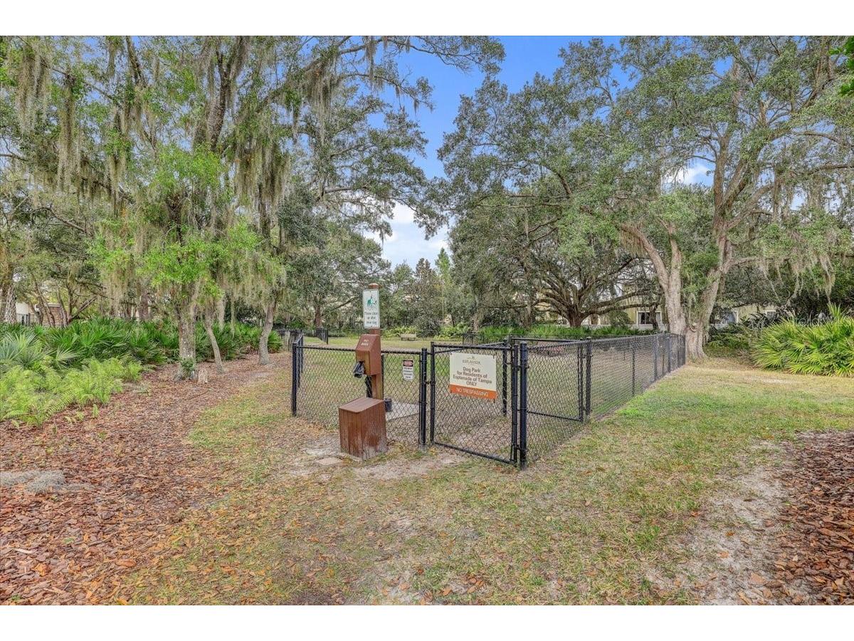 20113 Umbria Hill Drive Tampa FL 33647 TB8465942 image74