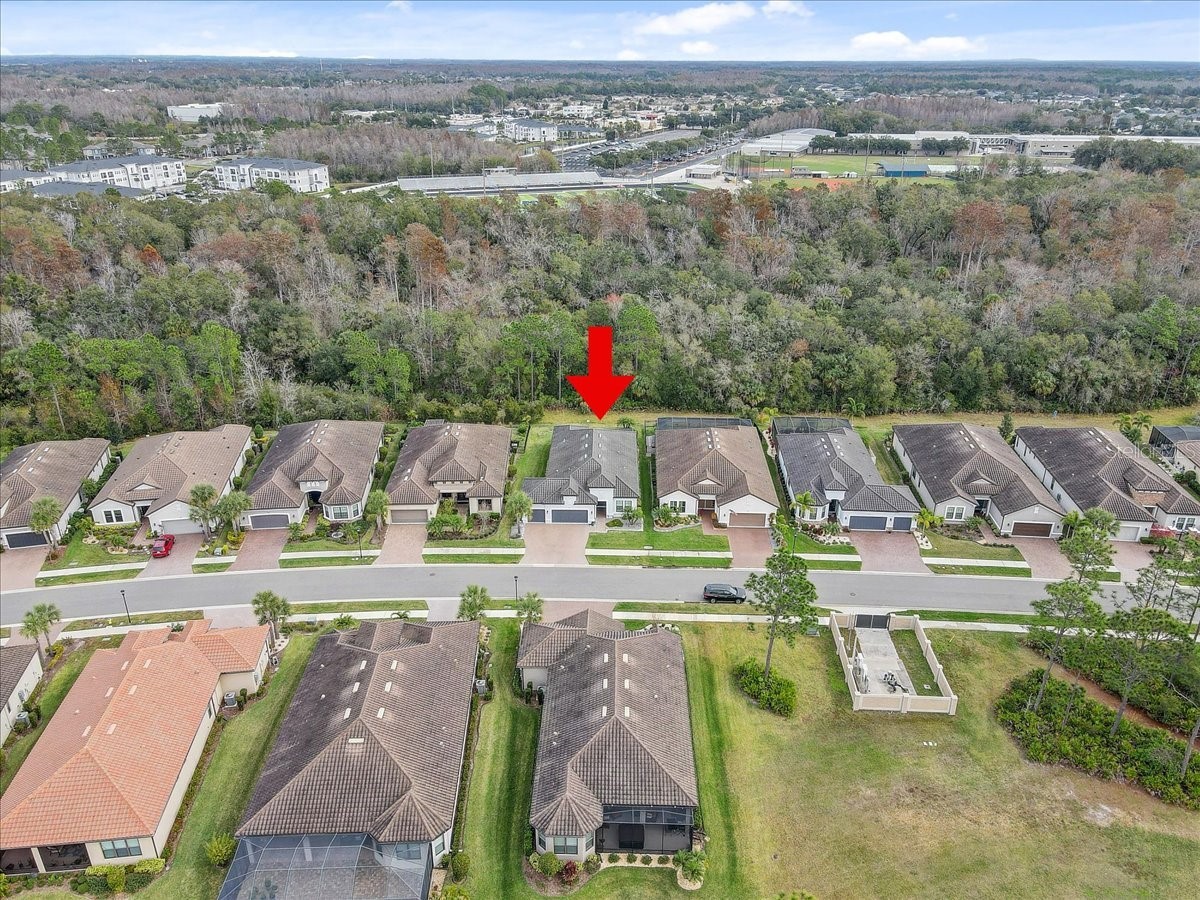20113 Umbria Hill Drive Tampa FL 33647 TB8465942 image75