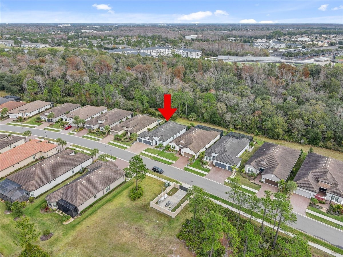 20113 Umbria Hill Drive Tampa FL 33647 TB8465942 image76