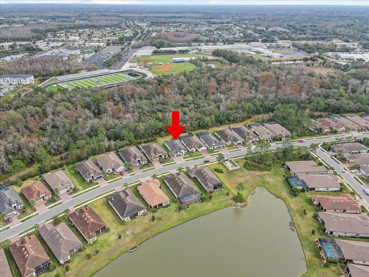 20113 Umbria Hill Drive Tampa FL 33647 TB8465942 image77