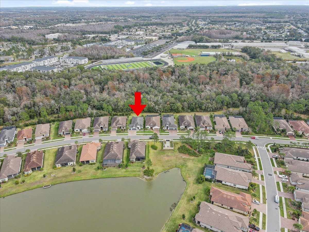 20113 Umbria Hill Drive Tampa FL 33647 TB8465942 image78