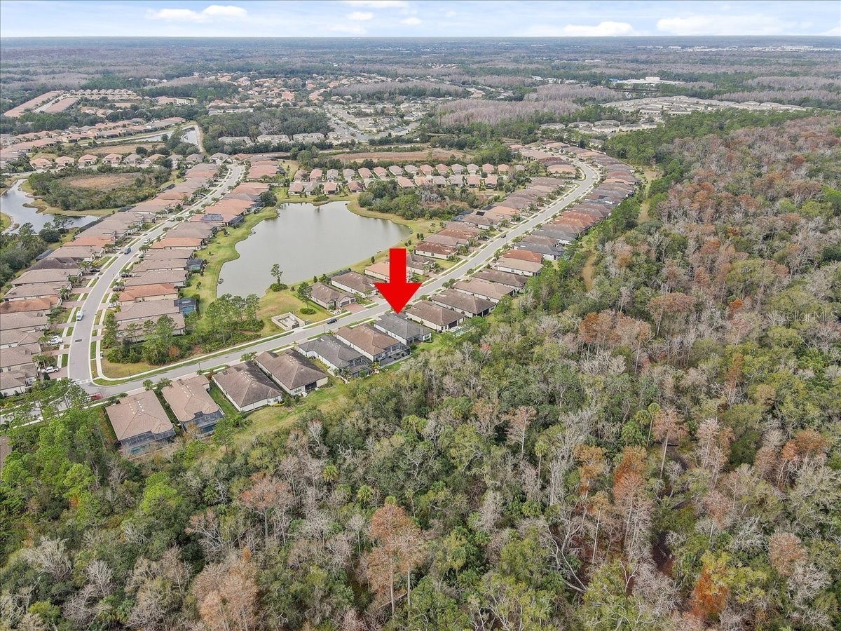 20113 Umbria Hill Drive Tampa FL 33647 TB8465942 image79