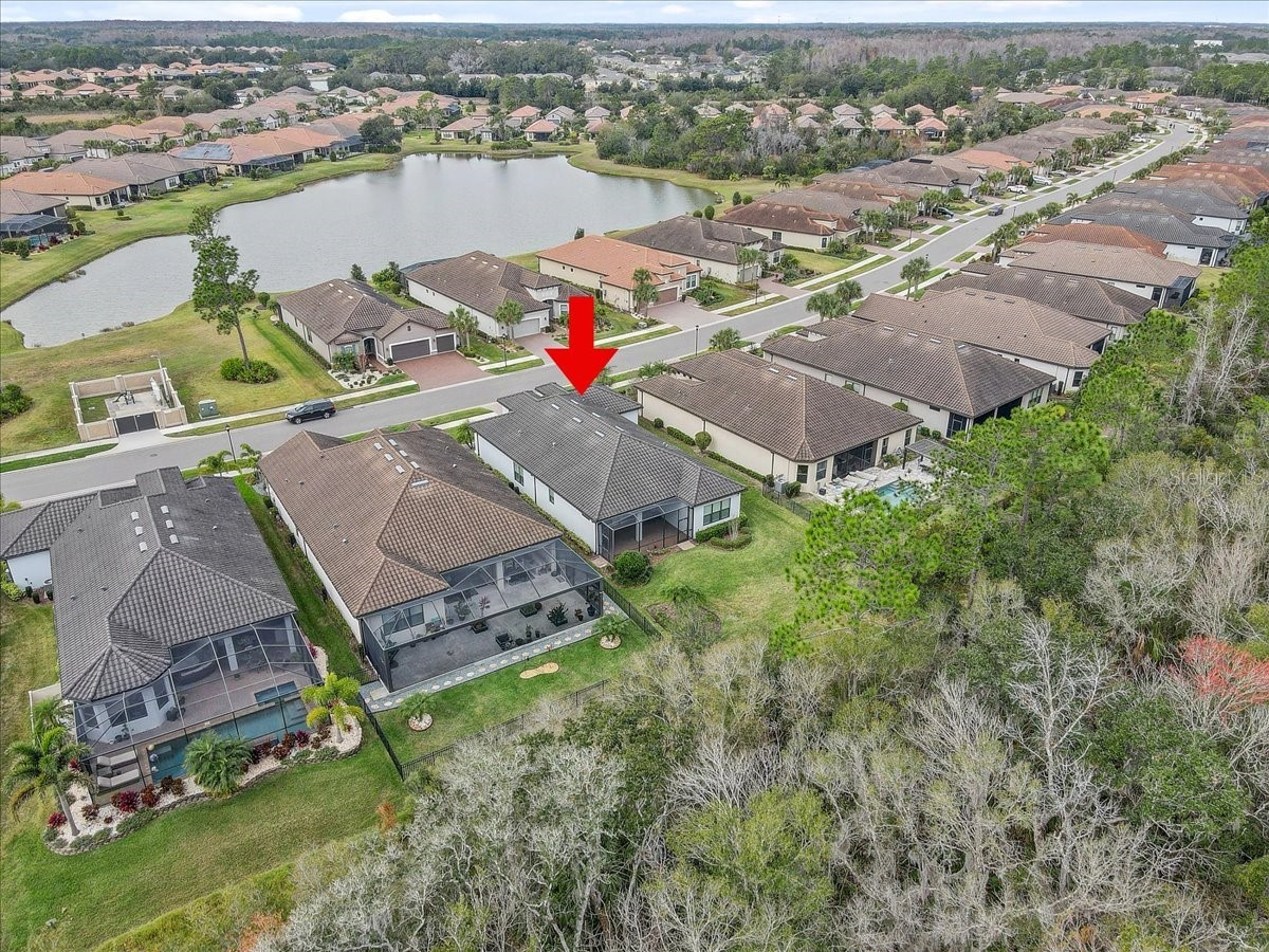 20113 Umbria Hill Drive Tampa FL 33647 TB8465942 image80