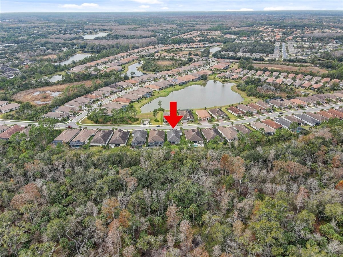 20113 Umbria Hill Drive Tampa FL 33647 TB8465942 image81