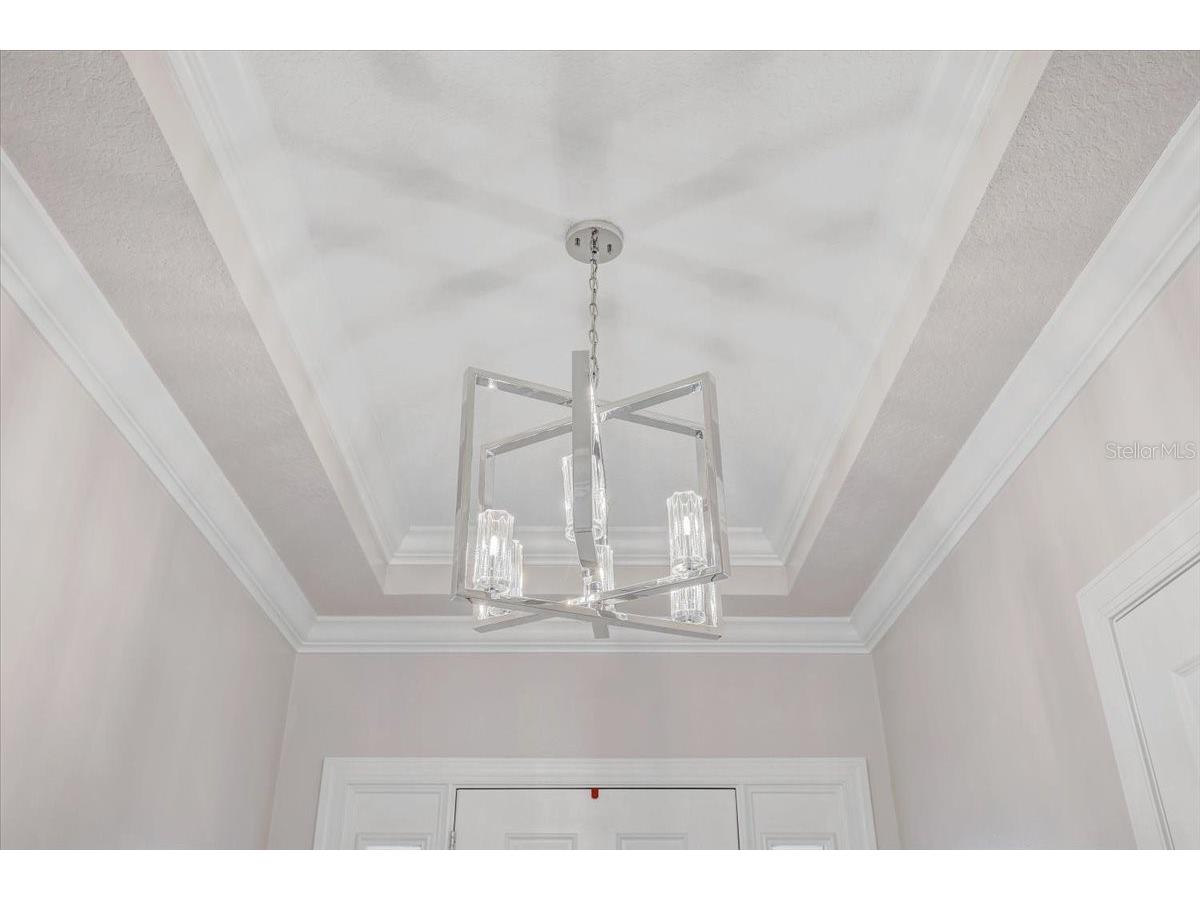 20113 Umbria Hill Drive Tampa FL 33647 TB8465942 image9