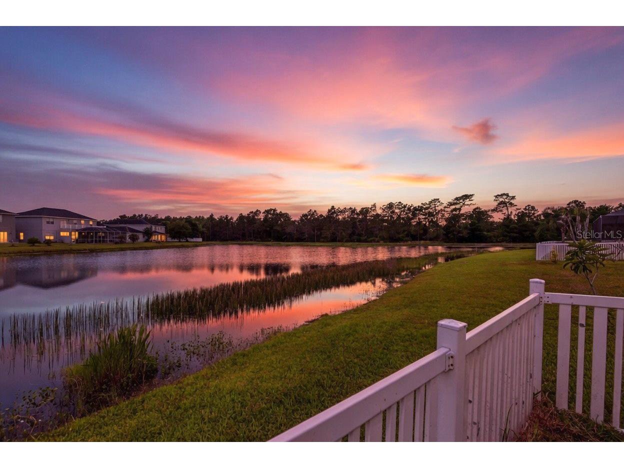 20114 Tamiami Avenue Tampa FL 33647 TB8508955 image24