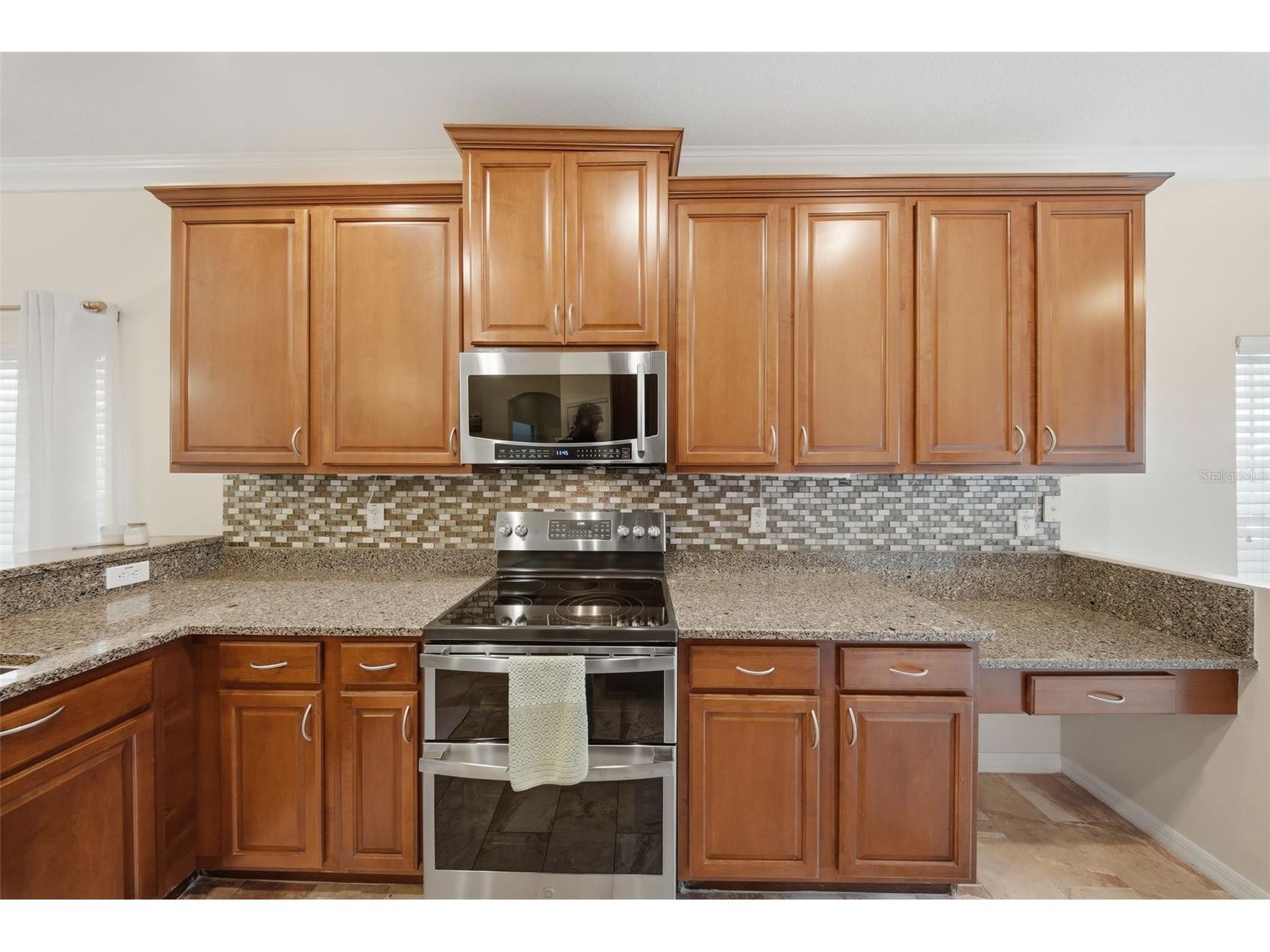 20115 Indian Rosewood Drive Tampa FL 33647 TB8495831 image13