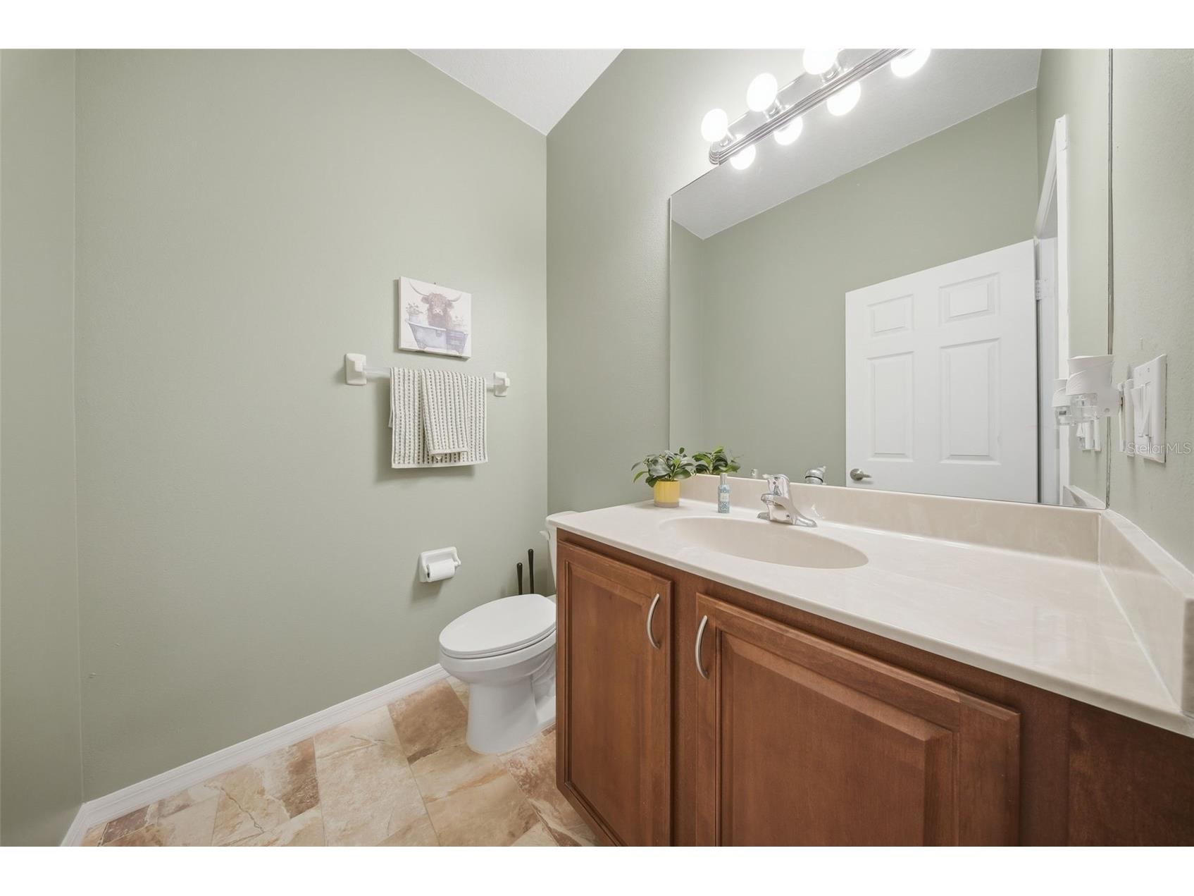 20115 Indian Rosewood Drive Tampa FL 33647 TB8495831 image18