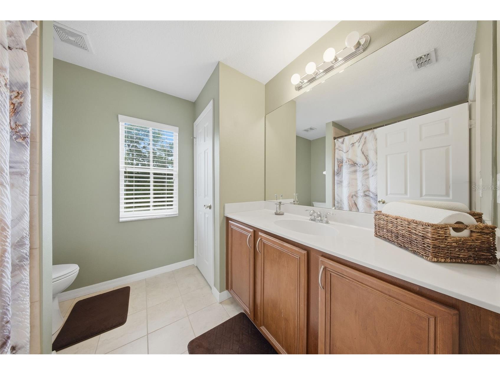 20115 Indian Rosewood Drive Tampa FL 33647 TB8495831 image27