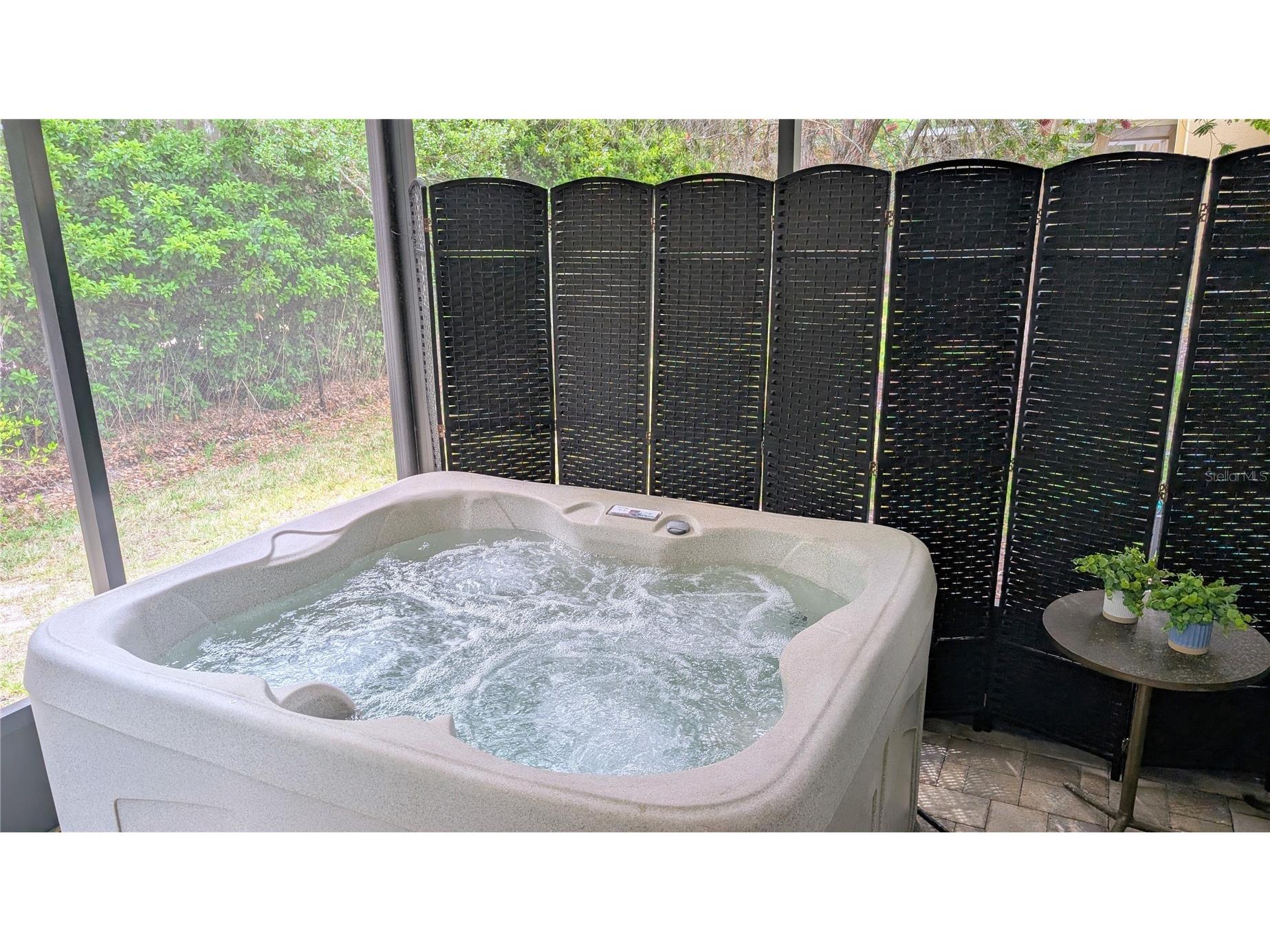 20115 Indian Rosewood Drive Tampa FL 33647 TB8495831 image35