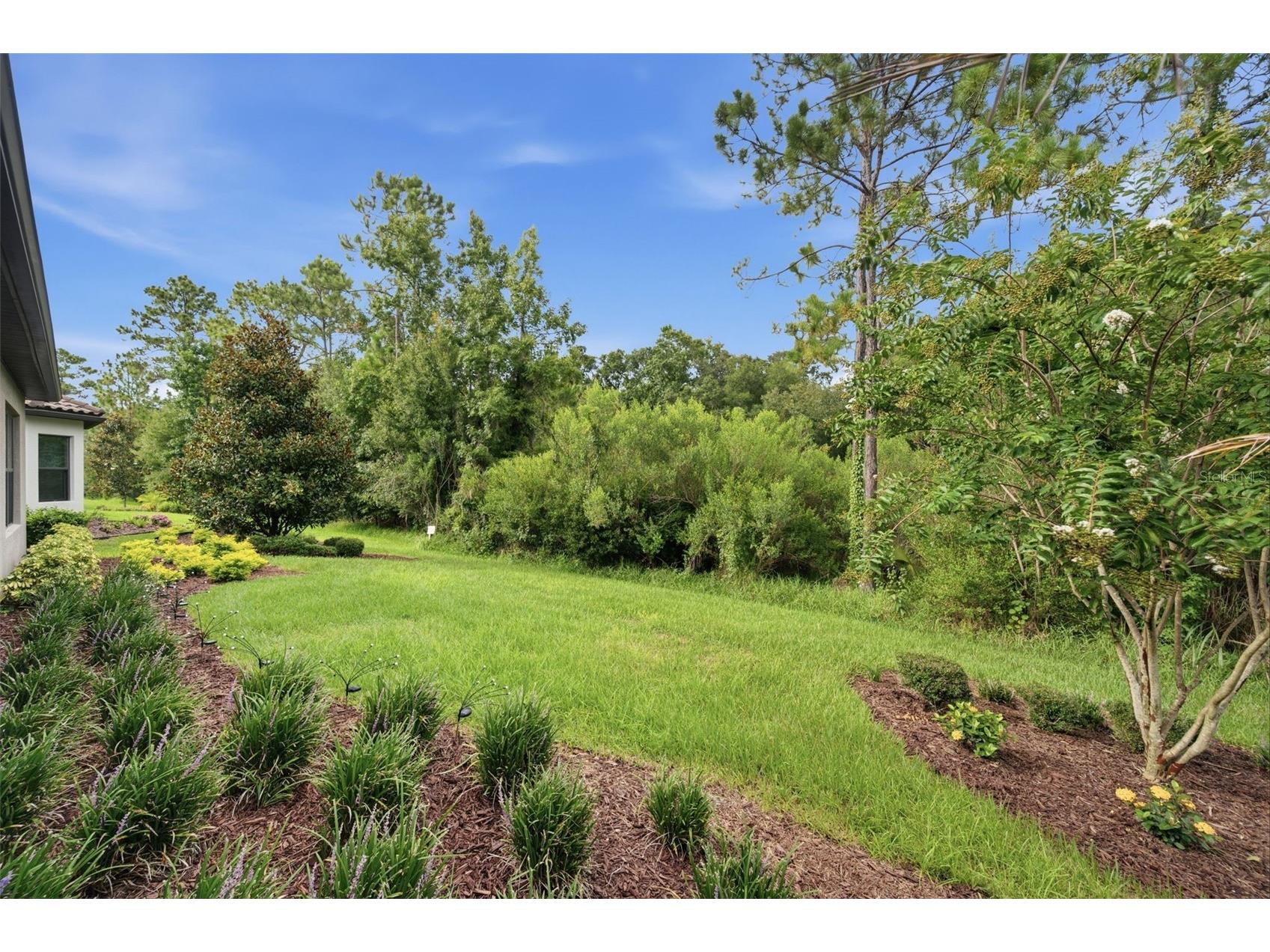 20117 Umbria Hill Drive Tampa FL 33647 TB8519947 image48