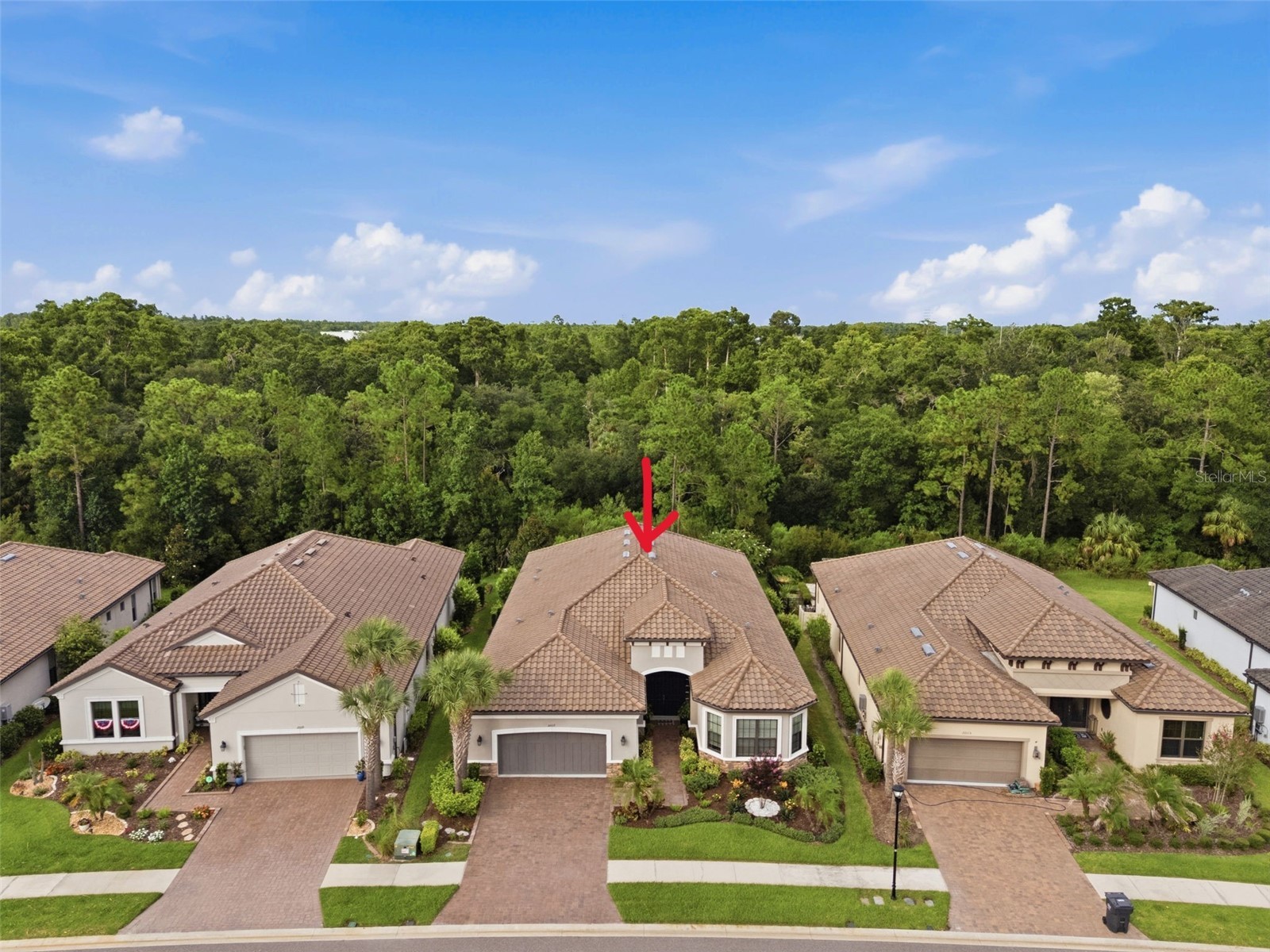 20117 Umbria Hill Drive Tampa FL 33647 TB8519947 image53