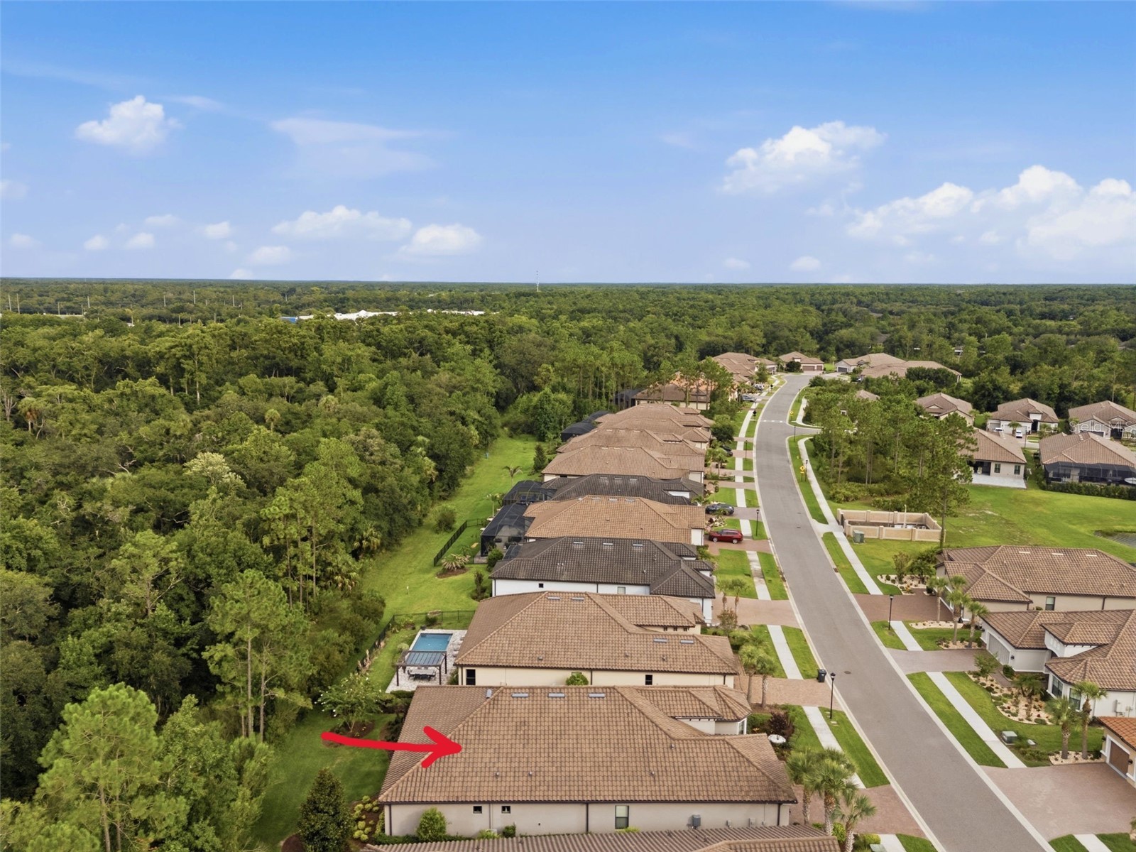 20117 Umbria Hill Drive Tampa FL 33647 TB8519947 image54