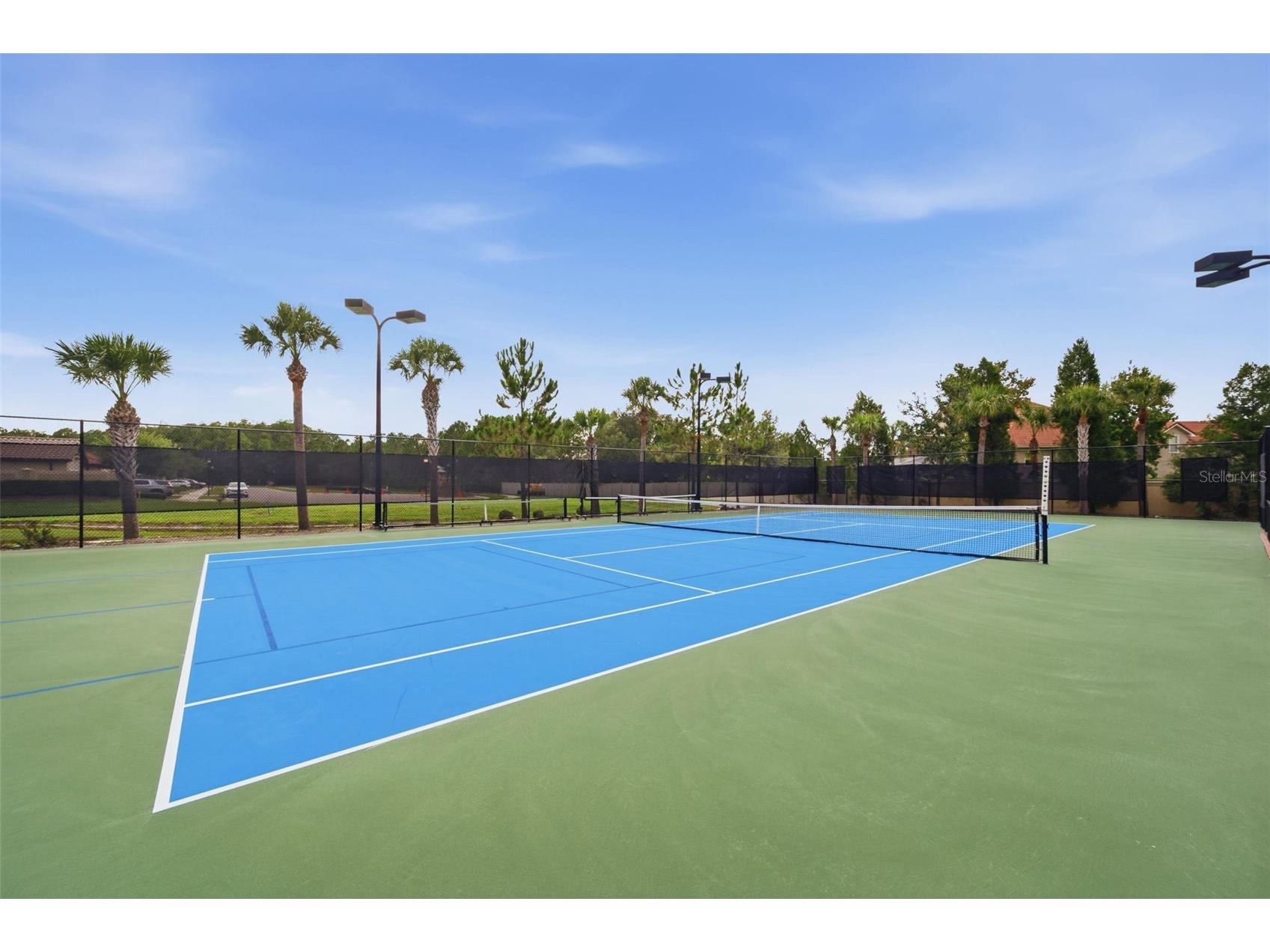 20117 Umbria Hill Drive Tampa FL 33647 TB8519947 image62