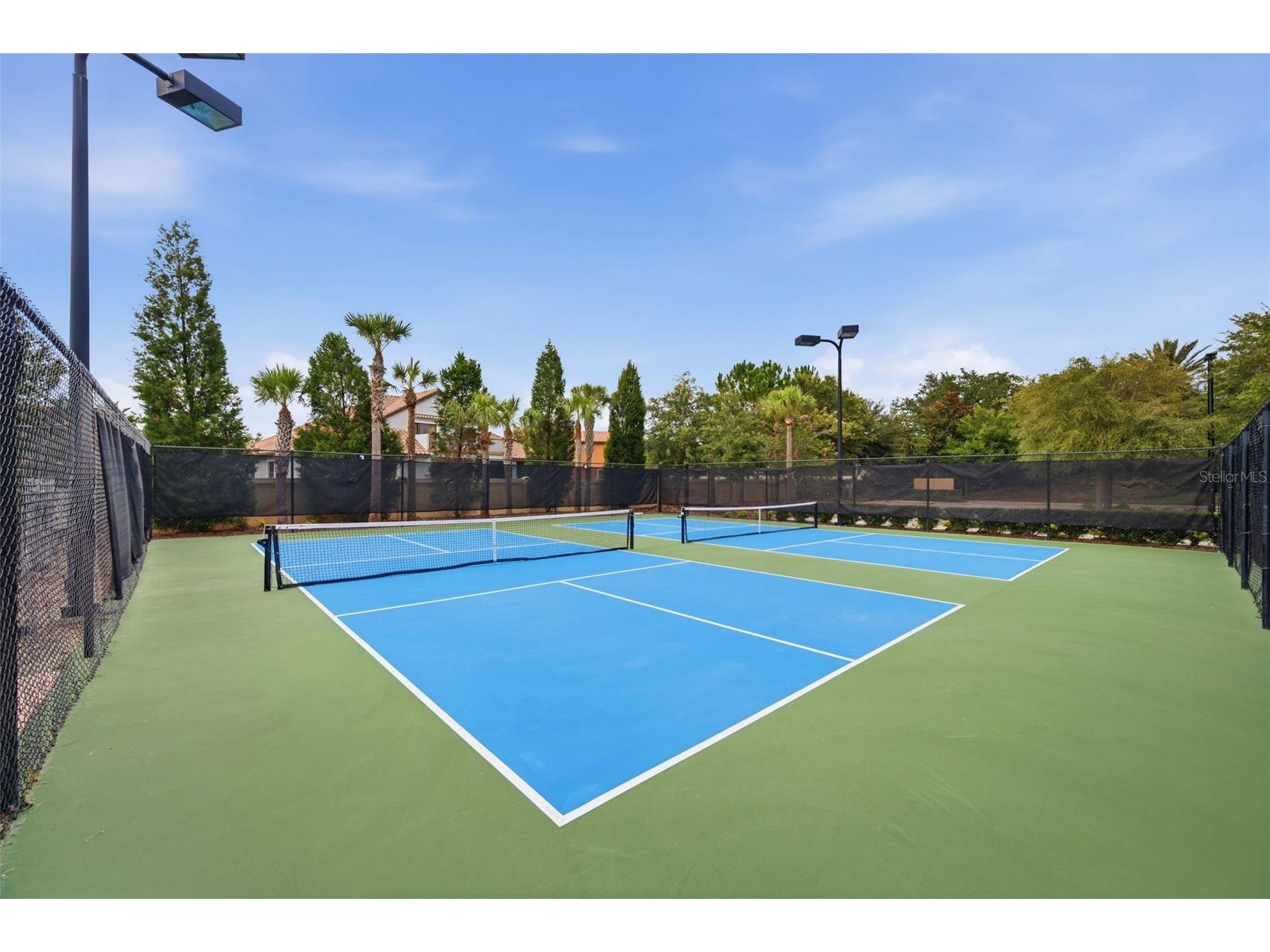 20117 Umbria Hill Drive Tampa FL 33647 TB8519947 image63