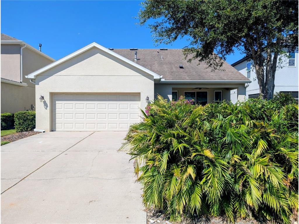 20119 Eagles Landing Way Tampa FL 33647 TB8437574 image26