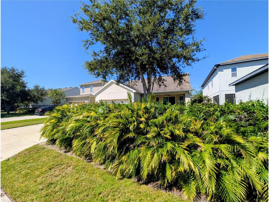 20119 Eagles Landing Way Tampa FL 33647 TB8437574 image27